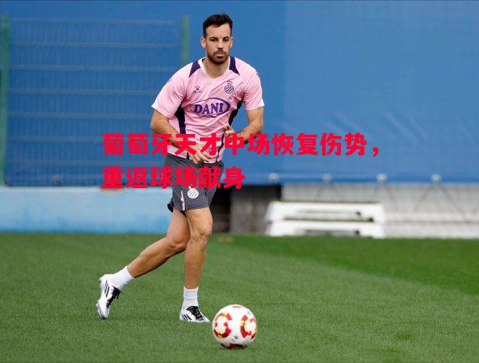葡萄牙天才中场恢复伤势，重返球场献身