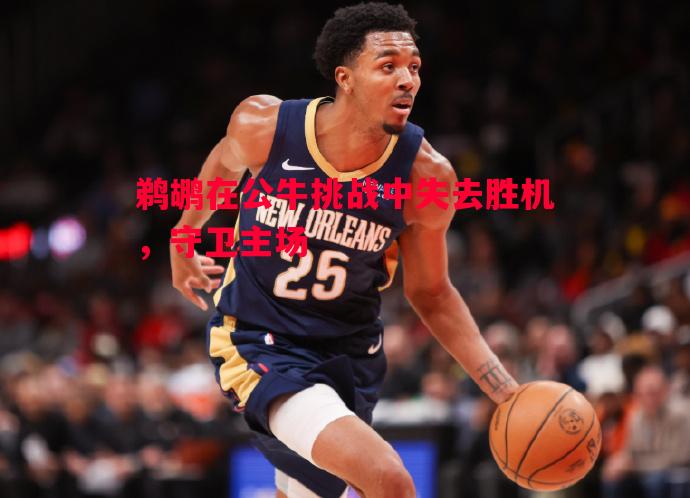 鹈鹕在公牛挑战中失去胜机，守卫主场