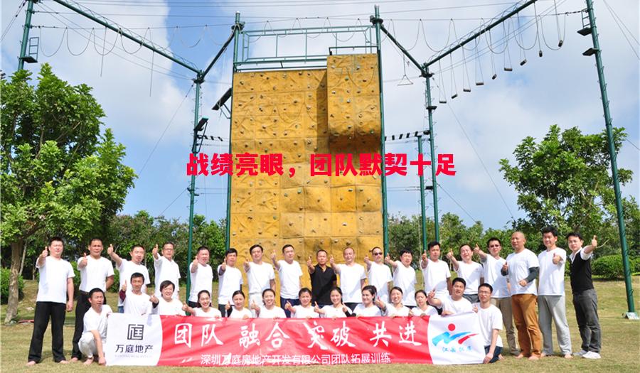 战绩亮眼，团队默契十足