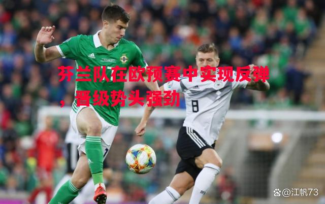 芬兰队在欧预赛中实现反弹，晋级势头强劲